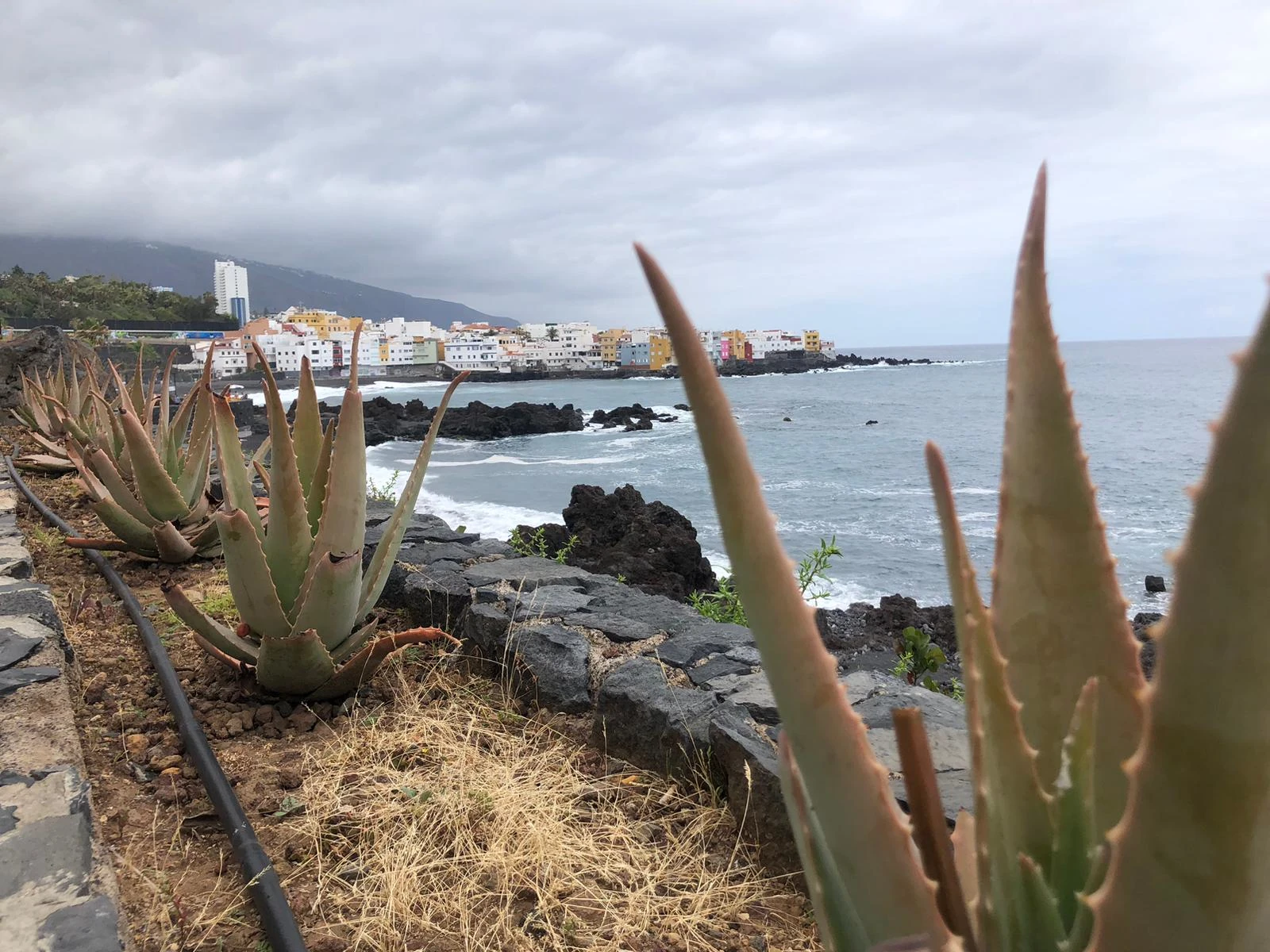 punta brava